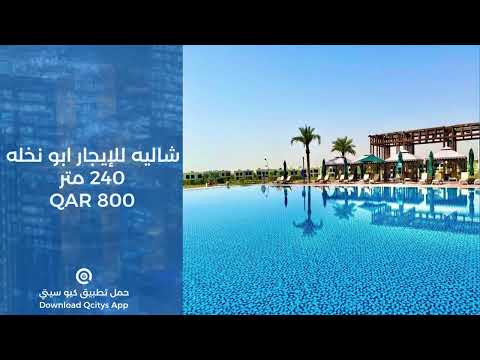  كيوسيتي    قطر ابو نخله
