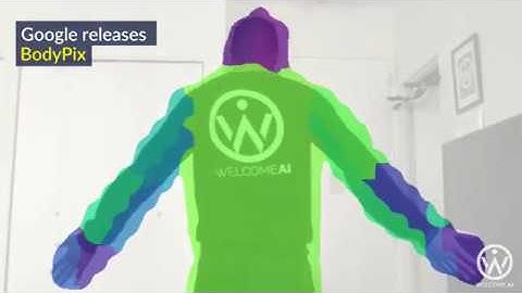 Google Bodypix - machine learning model which allows for a person and body-part segmentation