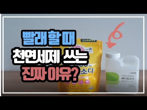 사회초년생전세대출