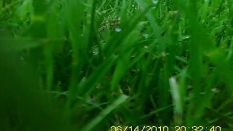 RC Powers F-22 easybuild Onboard Flights