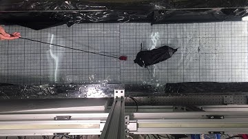 Realtime onboard object tracking of an autonomous fish robot