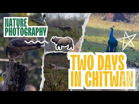 Adventure Bird watching