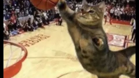 *BEST* FREE DAHOOD AIMLOCK SCRIPT (WORKS ON SOLARA) STARS⭐ USE (2024 PASTEBIN) (Short Showcase)