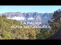 La Palma, pura naturaleza //Islas Canarias