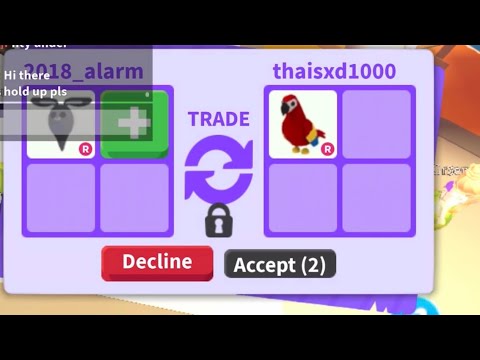 What People Trade For A Ride Ghost Bunny Adopt Me Roblox Youtube - roblox adopt me ghost bunny worth