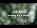 Capture de la vidéo Mutual Benefit - Growing At The Edges (With Visualizer)