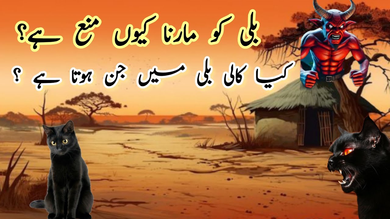 Why Is It Forbidden To Beat a Cat ? Is There a Jinn In a Cat?