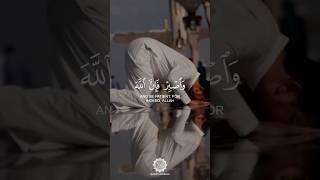 Surah Hud | Ayah 115 | Quranic Guidance | Islam Sobhi