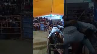 Pequeño Guerrero de Calimaya Vs El Depredador de Rancho el Capulin