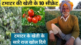 टमाटर की खेती के 10 सीक्रेट//tomato farming 10 secrets