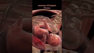 Baby in Womb 3D ?#shorts #pregnancy #augdailyshorts