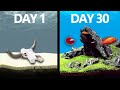 I Simulated a Lake for 30 Days