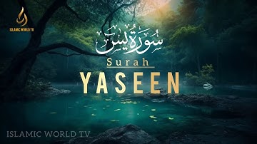 Ultimate Sleeping Quran | Surah Yaseen سورة يس | Heart Melting Voice |#yasin