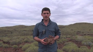 What to look for when lookng at these structures