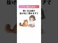 猫飼いなら絶対わかる、地味にしんどい猫の現実30選④ #猫あるある #飼い主あるある #猫の雑学 音声「VOICEVOX:ずんだもん」さん
