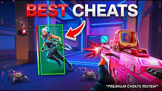 I Used Valorant Cheats To Hit Radiant... (Vanguard Never Knew)