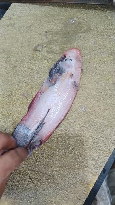 Manda fish cutting #fishcutting #manda