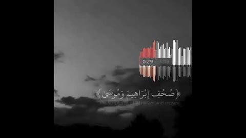 عبد الرحمن مسعد قد افلح من تزكى تلاوة خاشعة حالات واتس اب