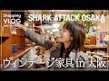 実は家具好き🪑大阪で立ち寄ったヴィンテージ家具屋さんでお買い物?!【SHARK ATTACK OSAKA】