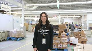 Volunteering at Harvest Manitoba News