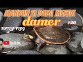 daily vlog || mandiin kura kura dada merah ( damer) #cuteanimal #dailyvlog #damer #turtle #kura kura