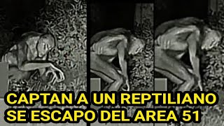 FILTRAN VIDEO! REPTILIANO ESCAPO DEL AREA 51 Y ES CAPTADO EN LAS VEGAS!