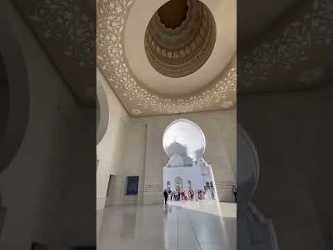 Abu dhabi Grand Mosque #shorts #ytshorts #abudhabi #uae #dubai