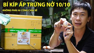 bí kíp ấp trứng bằng máy không phải ai cũng chia sẻ 0941191719