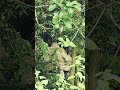 𝕋𝕙𝕚𝕤 𝕀𝕤 𝔸 𝔾𝕙𝕠𝕤𝕥 𝕃𝕠𝕔𝕒𝕥𝕚𝕠𝕟😱 #ghostvlog