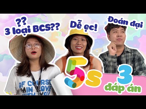 Hội chị em Trà Đá ĐỨNG HÌNH 5 GIÂY trước những câu hỏi BÁ ĐẠO trên từng hạt gạo