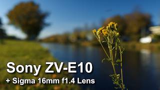 Sony Zv E10 Sigma 16Mm F1.4 Cinematic Video Footage