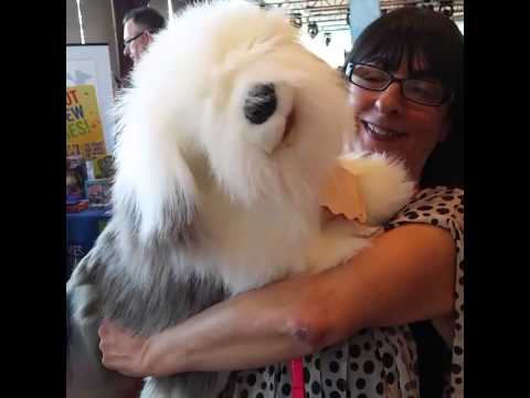 Folkmanis Puppets Shaggy Dog - YouTube