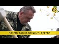 По всей Беларуси в эти выходные проходит масштабная экологическая акция День озеленения По всей Беларуси в эти выходные проходит масштабная экологическая акция День озеленения