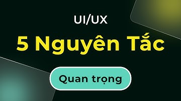3. UI UX cơ bản: 5 nguyên tắc thiết kế quan trọng