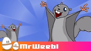 Video thumbnail of "Flying Squirrels : animated music video : MrWeebl"