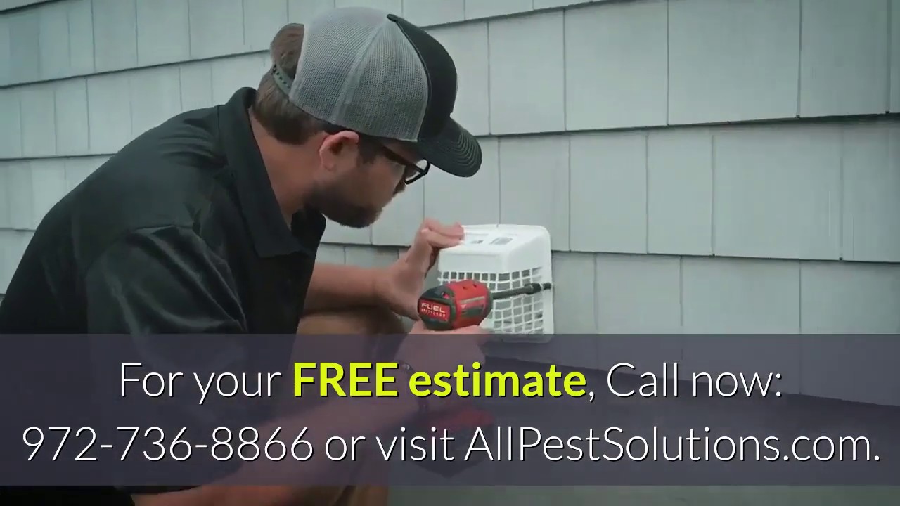Pest Control Plano - All Pest Solutions - (972) 265-9670