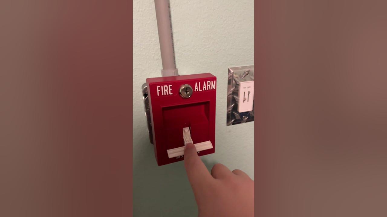 This Fire Alarm Test Was Impressive! 🚨🔊