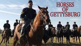 Horses Of Gettysburg Full Documentary