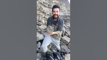 Fossil Hunter Finds Perfect Fossil #shorts