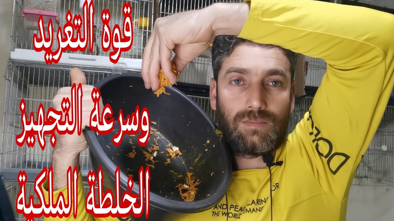 هذه الفتمينات المسؤلة عن قوة التغريد وسرعة التجهيز ذكور الكناري والحسون