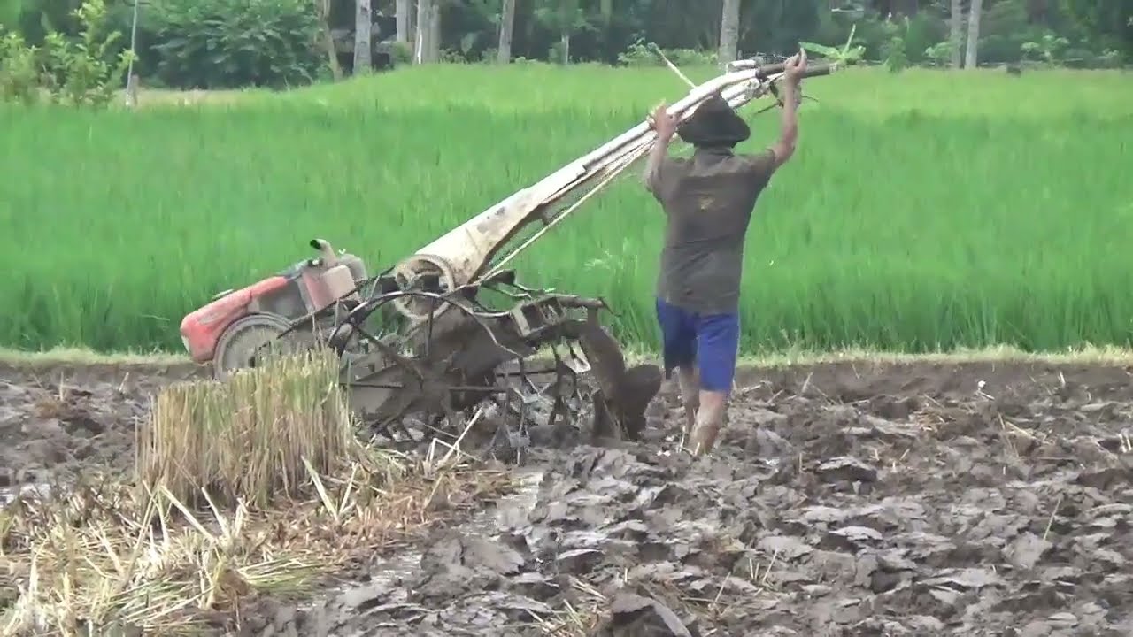 SINGKAL PALING TOP MARKOTOP ❗ANTI LENGKET ❗BIKIN KERJA MUDAH DAN LANCAR JAYA || KUBOTA 