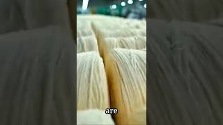 Did You Know - Ropes Are Processed Banana Stems? #doyouknow #facts #draft #youtubeshort #learnfacts