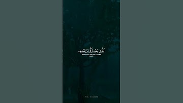 [ ان ينصركم الله فلا غالب لكم ] حالات واتس اب قرآن كريم | ماهر المعيقلي