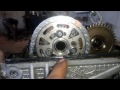 BMW timing chain information