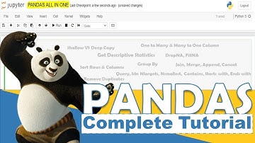 Python Pandas Complete Tutorial | Beginner to Pro Level in One Video