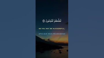 ايات منجيات بصوت القارىء ماهر عرار حالات واتس اب دينية قصيرة قران كريم تلاوة خاشعة ومؤثرة