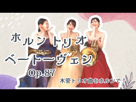 ホルンのママページ ホルンのママページ Jo Kishigami | Horn