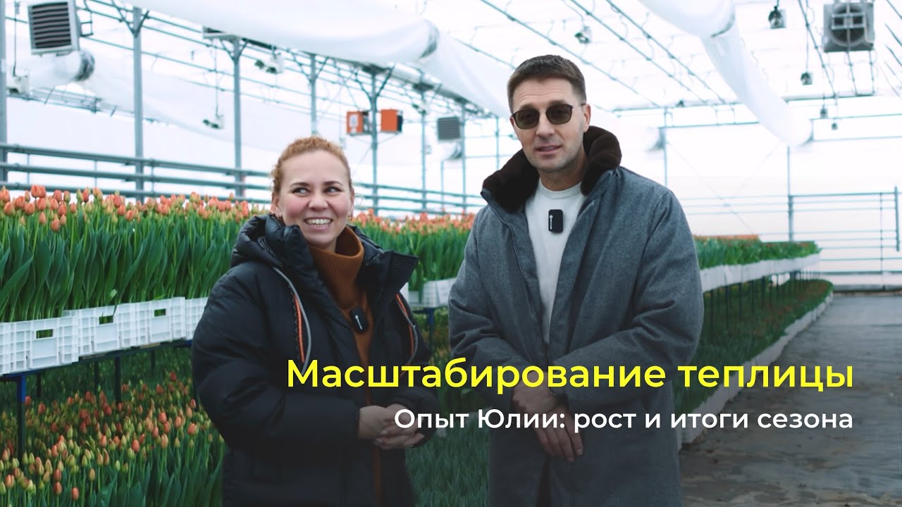 Тепличное хозяйство с нуля до 500.000 тюльпанов во второй сезон | оснащение теплицы