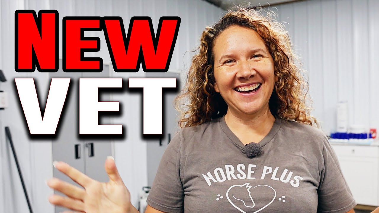 A New Vet! - Horse Shelter Heroes S4E41