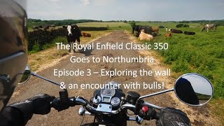 The Royal Enfield Classic 350 Goes to Northumbria Episode 3 – Exploring the wall. by That bloke on a motorbike 2,879 views 4 months ago 27 minutes